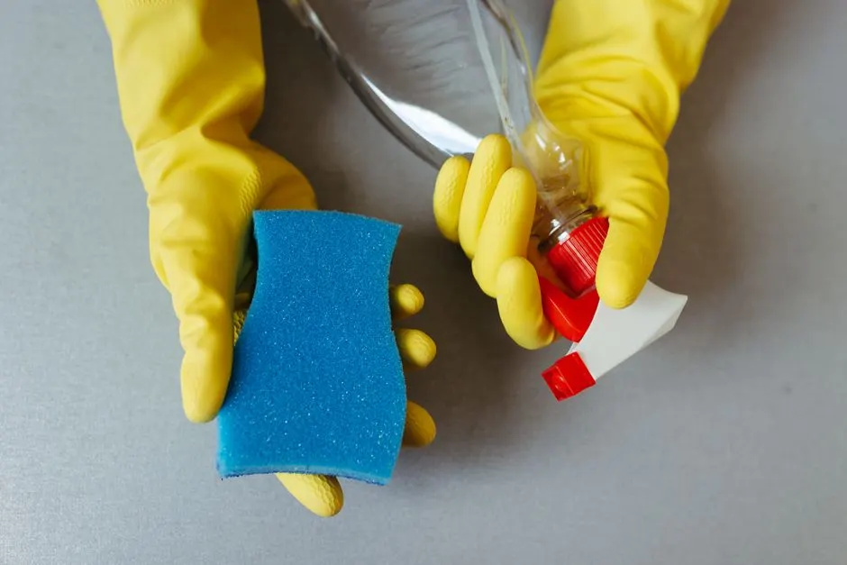 Why Wickford homeowners choose eco insulation removal